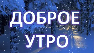 Картинки с добрым утром По временам года🌞 и хорошего дня картинки