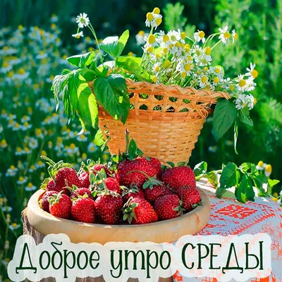 Прикольные открытки с пожеланиями Доброго утра среды (40 картинок) скачать картинки