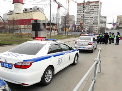 Агентство городских новостей «Москва» - Фотобанк картинки