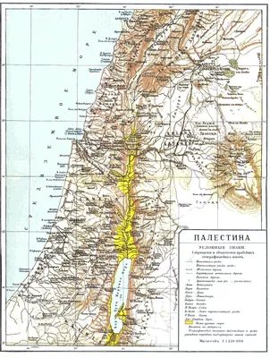 Файл:Map of Palestine in Russian, a. 1900.jpg — Википедия картинки