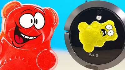 ПЫЛЕСОС ЧЕЛЛЕНДЖ ЖЕЛТОБРЮХ И ЖЕЛЕЙНЫЙ МЕДВЕДЬ ВАЛЕРА ПРОТИВ ПЫЛЕСОСА ILIFE  A9S - YouTube картинки