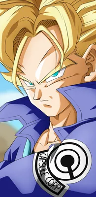 Скачать обои ID: 322002 / Аниме Dragon Ball Z Phone Wallpaper, Trunks (Dragon Ball), 1440x2960 ​​скачать бесплатно картинки