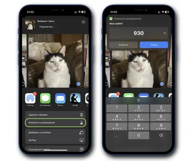 Как изменить разрешение картинки или фотографии на iPhone с помощью быстрой  команды картинки