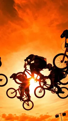 Скачать обои Bmx Bike Art, Bmx, Bike, Арт в разрешении 750x1334 на рабочий  стол картинки