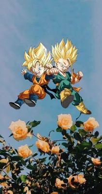 Готен и Стволы-Жемчуг Дракона Обои | Dibujos, Fondo de pantalla de anime, Personajes de goku картинки