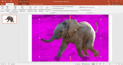 Как удалить фон с изображения в Microsoft PowerPoint | Белые окошки картинки