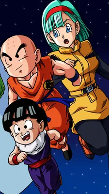 Скачать обои ID: 401281 / Anime Dragon Ball Z Phone Wallpaper, Bulma (Dragon Ball), Гохан (Dragon Ball), Крилин (Dragon Ball), 1080x1920 скачать бесплатно картинки