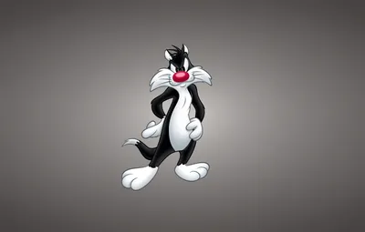 Обои Sylvester the Cat, Looney Tunes, Кот Сильвестр, Луни Тюнз, Весёлые  мелодии картинки на рабочий стол, раздел фильмы - скачать картинки