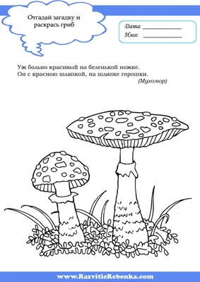 раскраски на тему грибы для детей картинки