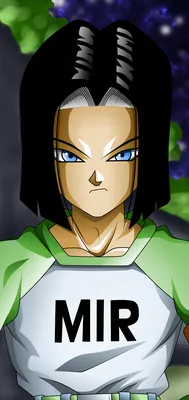 Скачать обои ID: 312619 / Аниме Dragon Ball Super Phone Wallpaper, Android 17 (Dragon Ball), 1440x3040 скачать бесплатно картинки