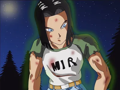 giulia genco on Twitter: \"#android17 #c17 #17 #dbz #dragonball #dbs #cyborg17 #a17 #anime #manga https://t.co/52he4wHGHS\" / Twitter картинки