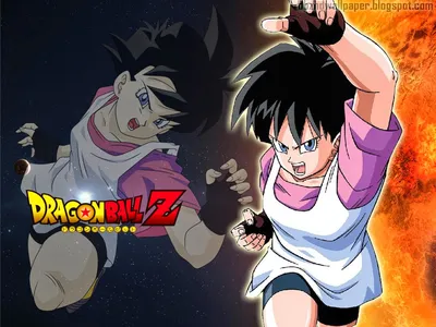 Скачать бесплатно Videl Dragon Ball Wallpapers 003 [1024x768] для рабочего стола, мобильного и планшета | Исследуйте 72+ обоев Videl картинки