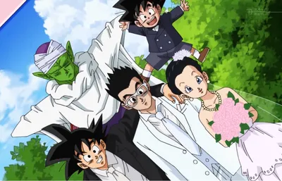Видель и Гохан Свадьба Dragon Ball Super Version - Женщины Dragon Ball фото (38672842) - Fanpop картинки