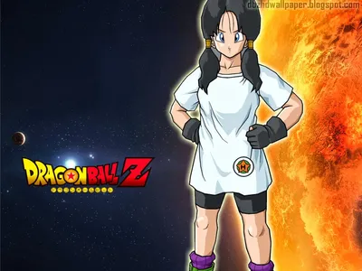 Бесплатно скачать Videl Wallpapers [1024x768] для рабочего стола, мобильного и планшета | Исследуйте 72+ обоев Videl картинки