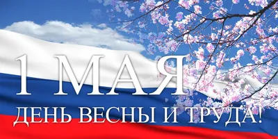 Мир! Труд! Шашлык! - прикольные открытки и поздравления с 1 мая картинки