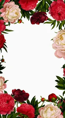 Pin de VALİDE SULTAN en Yazı Fonları 1 | Ilustraciones florales, Tarjeta,  Fondo de pantalla de flamingo картинки