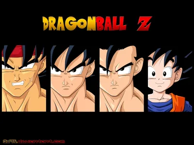 517002 1600x1200 Dragon Ball Z Сон Гоку Гохан Готенкс Бардок аниме обои JPG 218 kB - Rare Gallery HD Wallpapers картинки