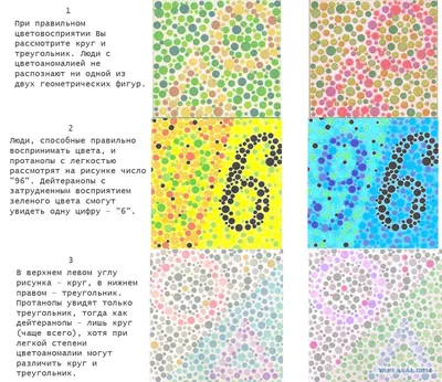 Тест на дальтонизм - ЯПлакалъ картинки