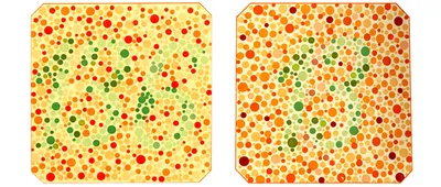 Тесты для проверки глаз - проверка на дальтонизм, дальнозоркость и  близорукость картинки