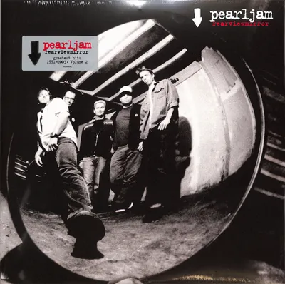 Pearl Jam: Art of Do The Evolution - Capital Books On K картинки