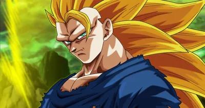 25 сумасшедших подробностей об анатомии Сайяна в Dragon Ball Z картинки