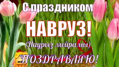 Навруз байрам🌹красивое поздравление с праздником Наурыз🌹видео Наурыз  мейрамы - YouTube картинки