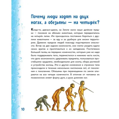 Миллион вопросов о здоровье и поведении, технике и изобретениях и самых  разных любопытных вещах (id 103645602) картинки