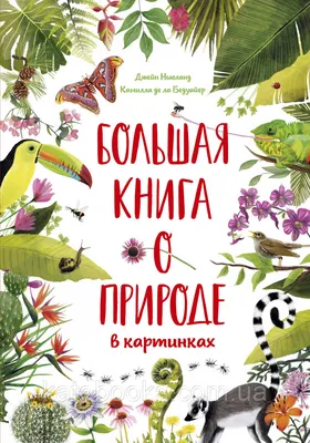 Купить Большая книга о природе в картинках. Автор Камилла де ла Бедуайер,  цена 350 грн — Prom.ua (ID#1464617280) картинки