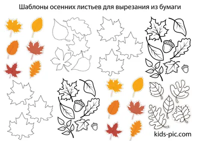 Шаблоны Кленовых Листьев Для Вырезания | Kids-Pic.com картинки