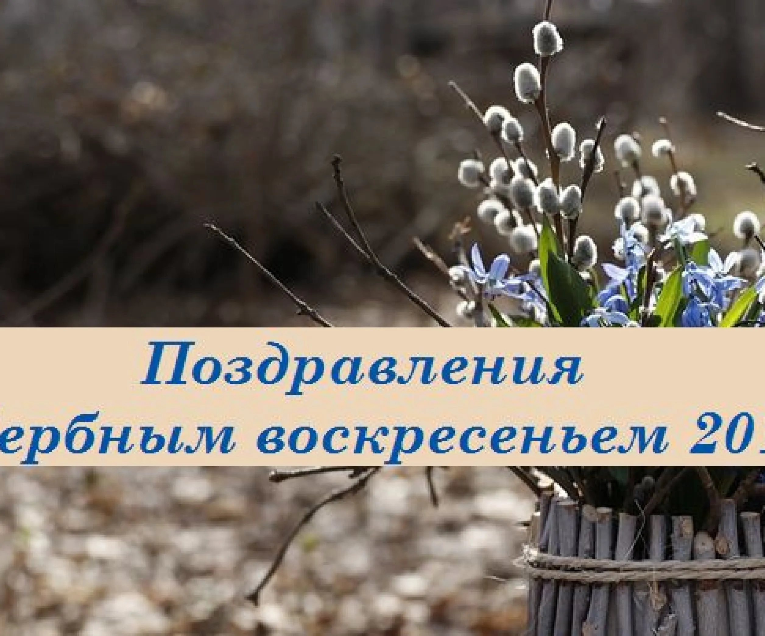 Открытки с вербным воскресеньем