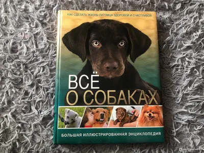 Всё о собаках. Скиба Т. В., Феданова Ю. В. - «В этой энциклопедии собрана  вся необходимая информация про собак! Тот случай, когда название говорит  само за себя 🤩» | отзывы картинки