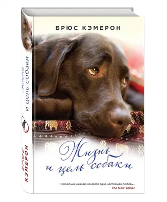 Книги про собак картинки