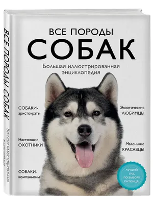 Все породы собак. Большая иллюстрированная энциклопедия Эксмо 15472386  купить в интернет-магазине Wildberries картинки