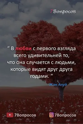 Лучшие идеи (780) доски «Картинки о любви» | вдохновляющие фразы,  вдохновляющие цитаты, мудрые цитаты картинки