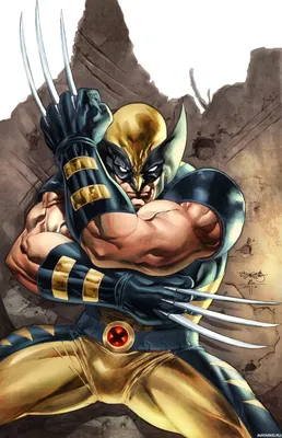 Люди_Икс, #Росомаха, #аватары, #картинки, #авы,  https://avatarko.ru/kartinka/13728 | Wolverine comic, Superhero comics art,  Wolverine art картинки