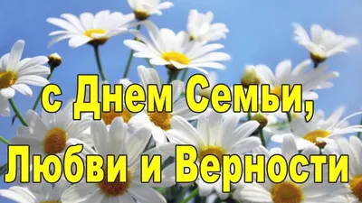 Картинки: \ картинки