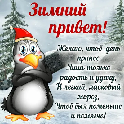 С добрым зимним утром прикольные картинка #444448 - Зимние поздравления с  добрым утром (66 фото) - скачать картинки