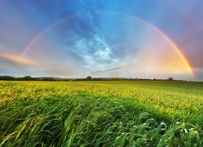 Пейзаж с радугой — Landscape with a Rainbow картинки