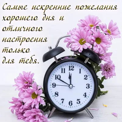 Пожелания хорошего, удачного дня — открытки и картинки - Телеграф картинки