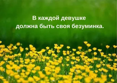 Прикольные статусы на все случаи жизни для социальных сетей: 50+ вариантов картинки