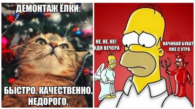 Позитивные картинка #341327 - Веселые и позитивные фото уходящего года! -  скачать картинки