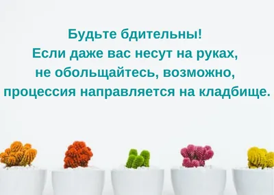 Прикольные статусы на все случаи жизни для социальных сетей: 50+ вариантов картинки