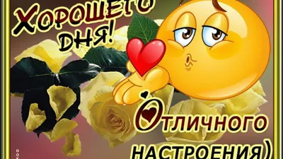 С Добрым Утром!!! Отличного настроения! Прекрасного дня! Музыкальная  открытка для настроения! - YouTube картинки