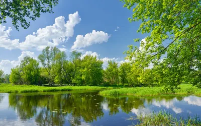 Красивые летние пейзажи природы - 69 фото картинки