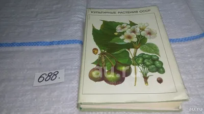 Культурные растения СССР, В. Вехов, Справочник-определитель \ картинки