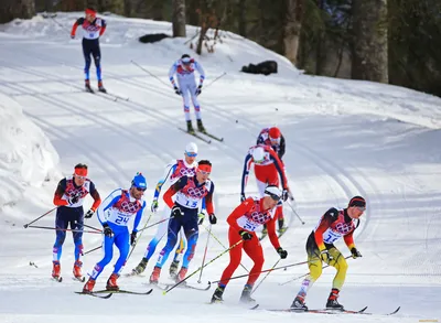 Обои Спорт Лыжный спорт, обои для рабочего стола, фотографии спорт, лыжный  спорт, соревнование, лыжи, снег, зима, сочи, олимпиада, кросс, лыжники,  трасса, лыжня Обои для рабочего стола, скачать обои картинки заставки на  рабочий картинки