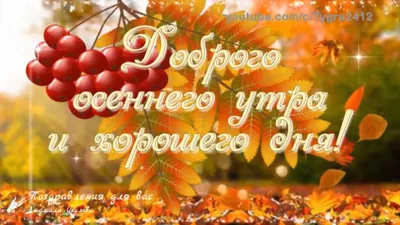 ☕️ Доброе осеннее утро! 🍁 Прекрасного осеннего дня! Утренний позитив для  друзей! - YouTube картинки