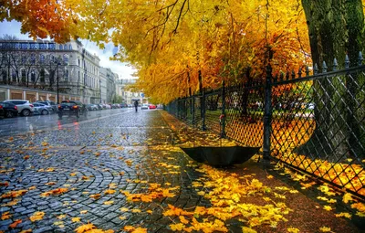 Обои осень, листья, дождь, забор, зонт, Санкт Петербург, Екатерининский  парк картинки на рабочий стол, раздел город - скачать картинки