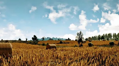Фон Pubg - 54 фото картинки