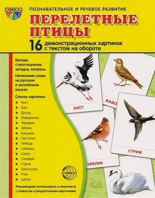 Дем. картинки Перелетные птицы (16 картинок с текстом ,173х220мм) \\ 9560  Сфера – купить в интернет магазине «Дошкольник+» картинки